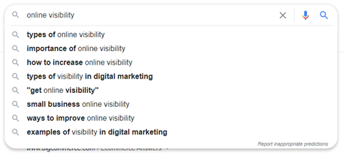 Google autocomplete for 'online visibility'